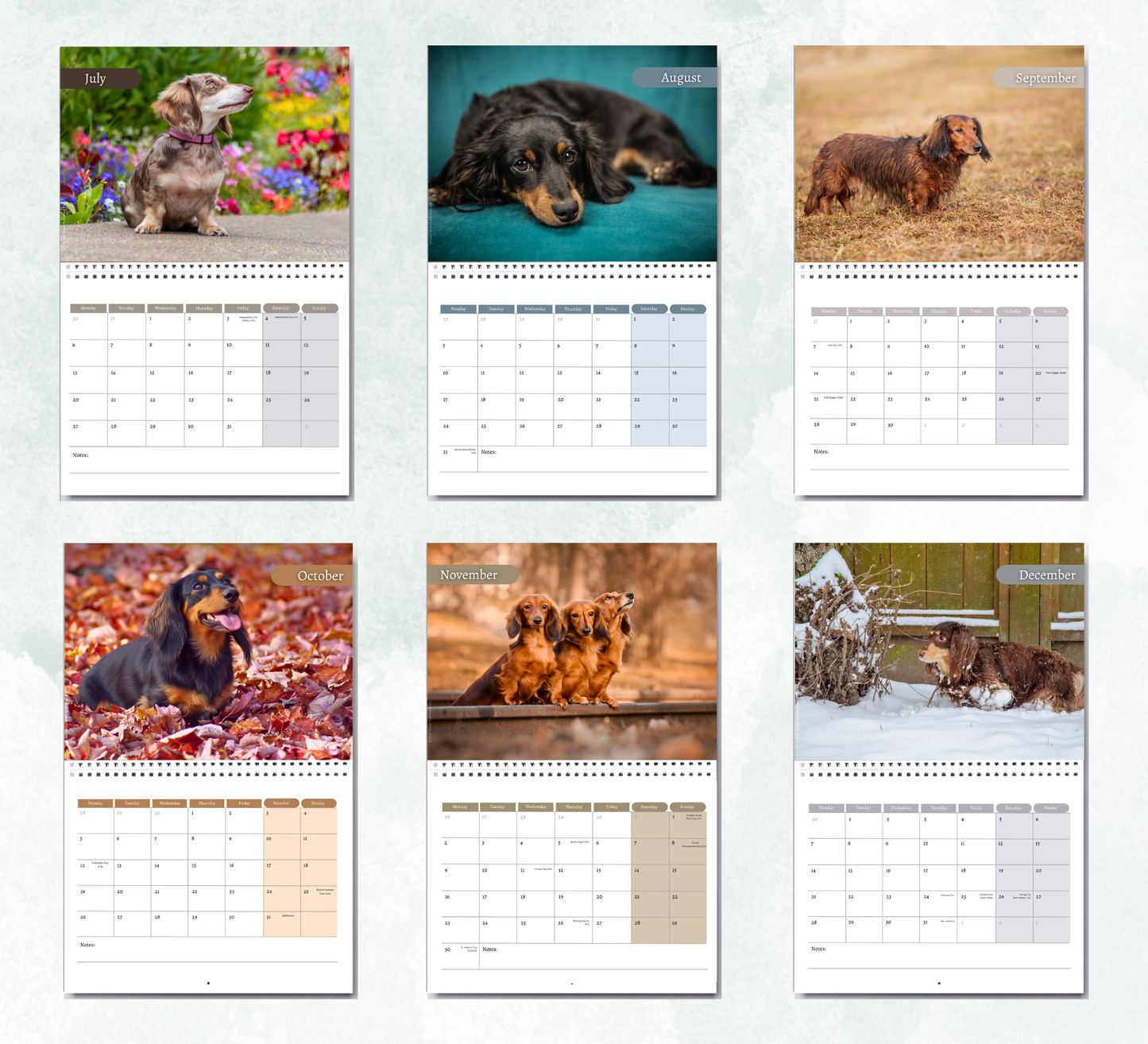Dachshund (long haired) Calendar 2027
