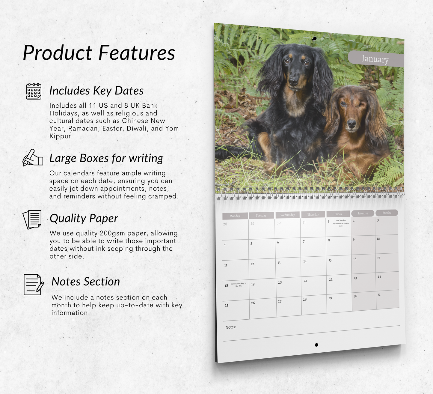 Dachshund (long haired) Calendar 2027