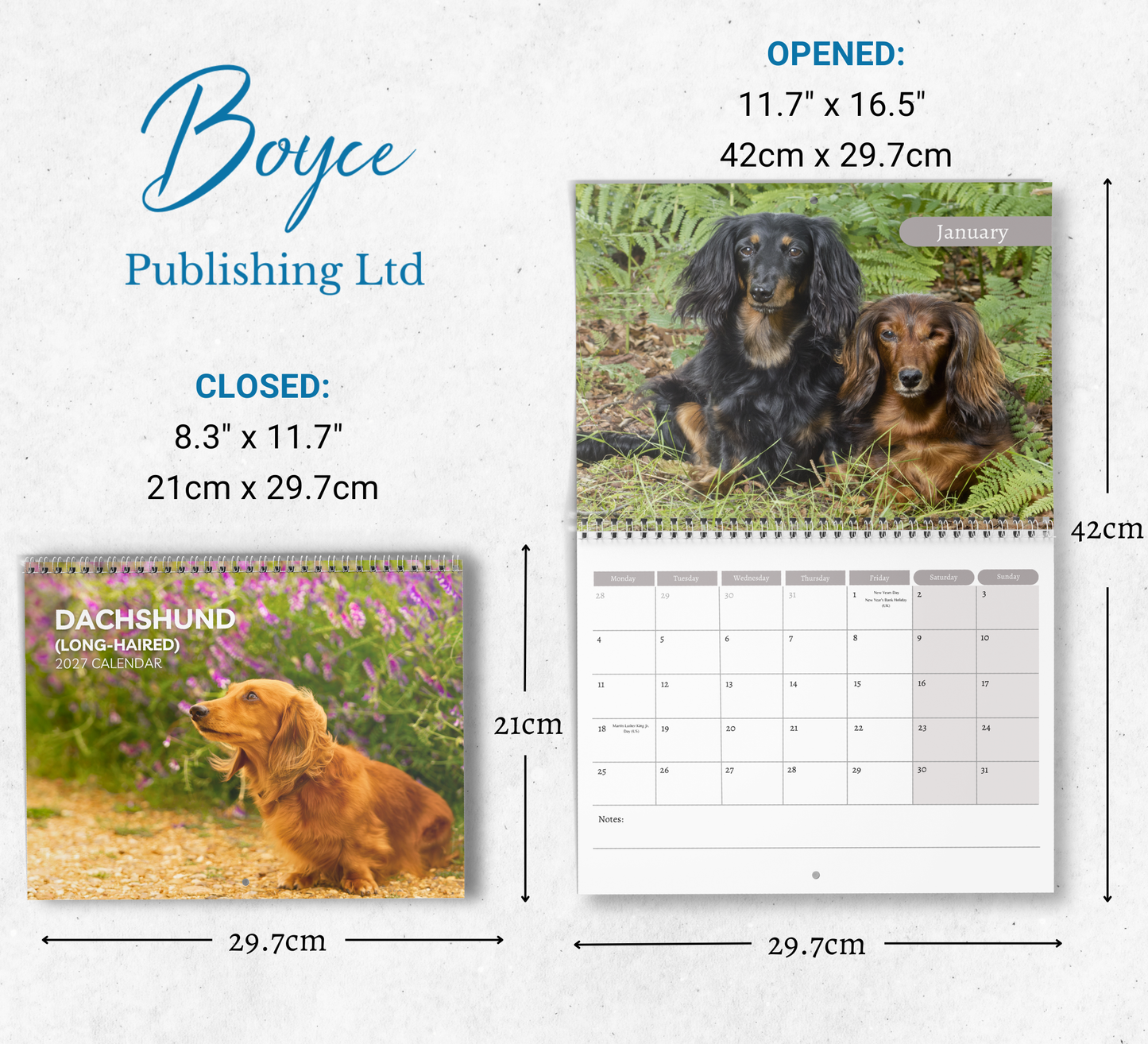 Dachshund (long haired) Calendar 2027