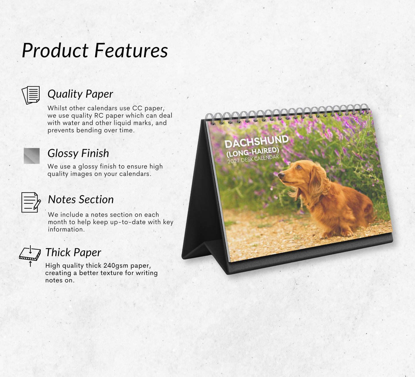 Dachshund (long-haired) Desk Calendar 2027-2028