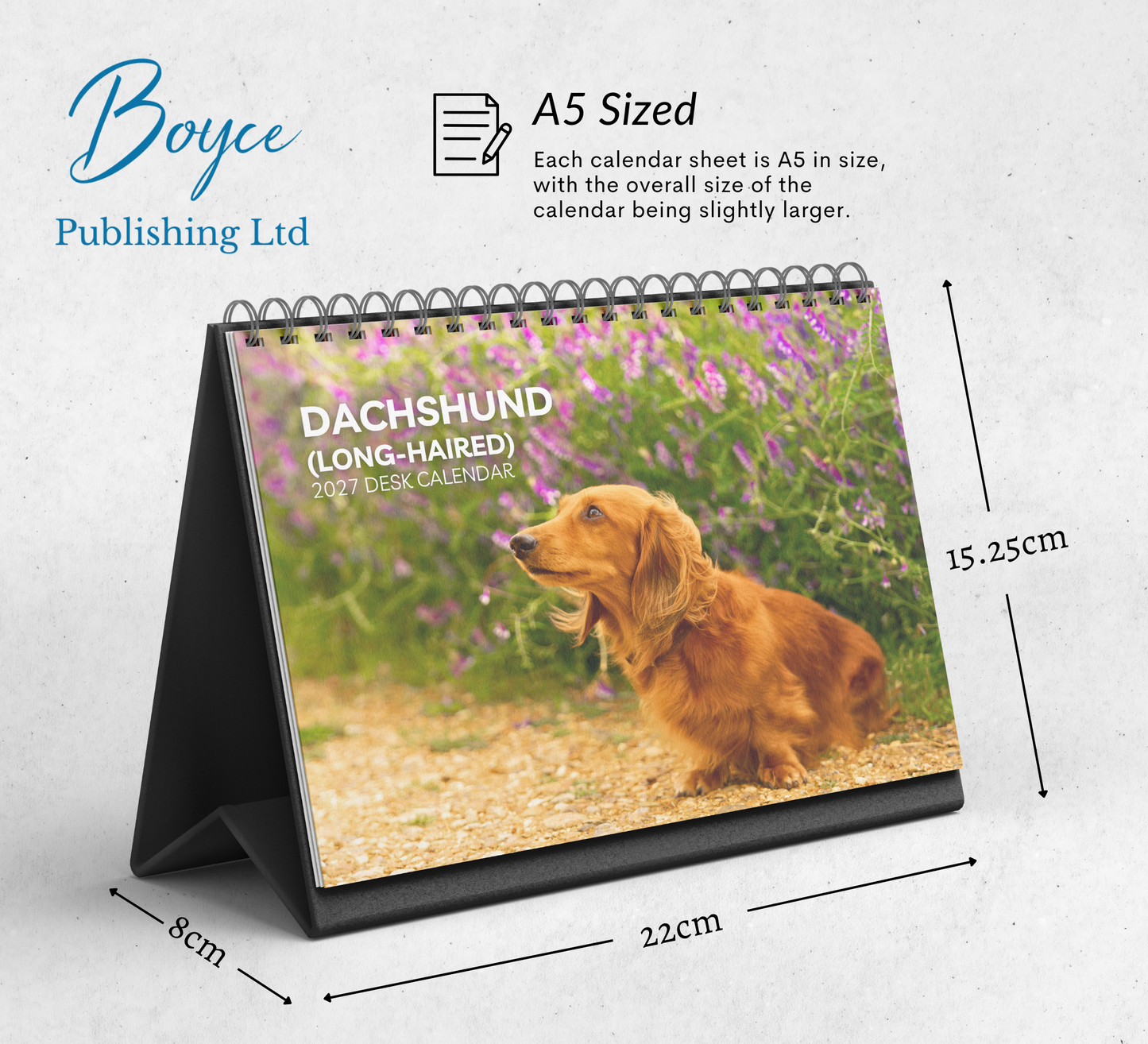 Dachshund (long-haired) Desk Calendar 2027-2028