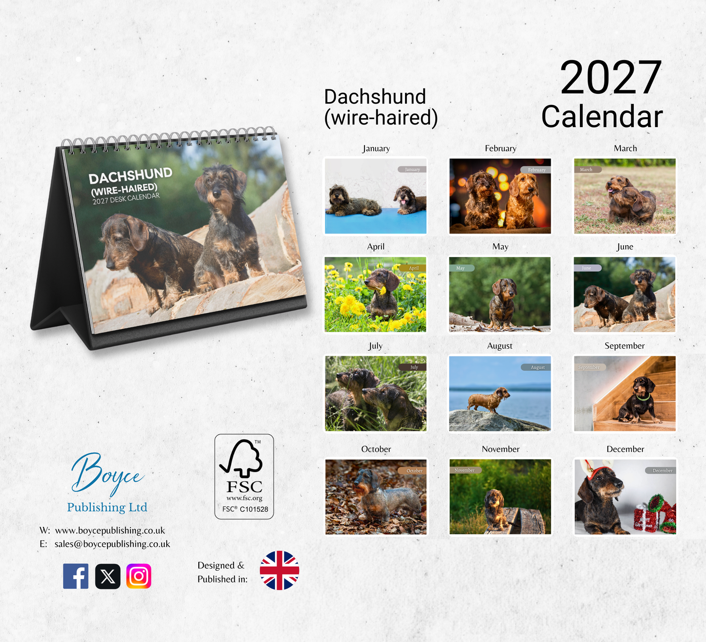 Dachshund (wire-haired) Desk Calendar 2027-2028