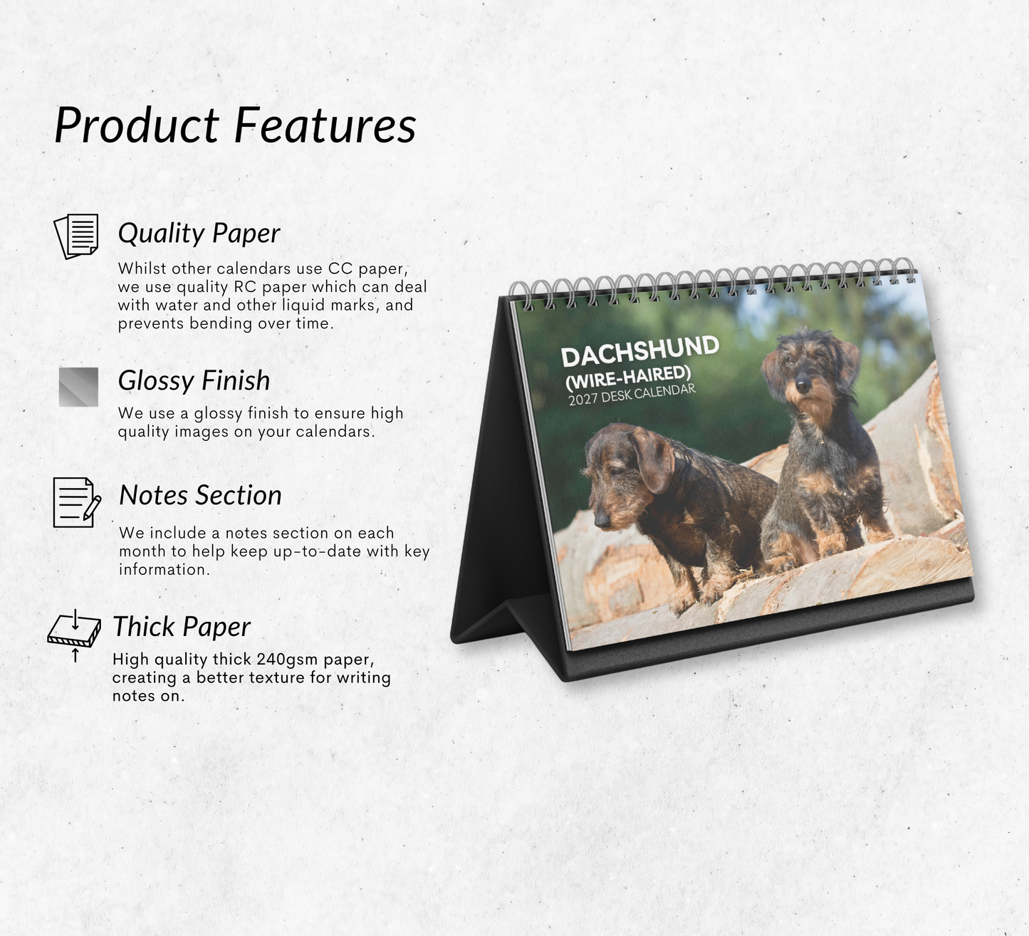 Dachshund (wire-haired) Desk Calendar 2027-2028