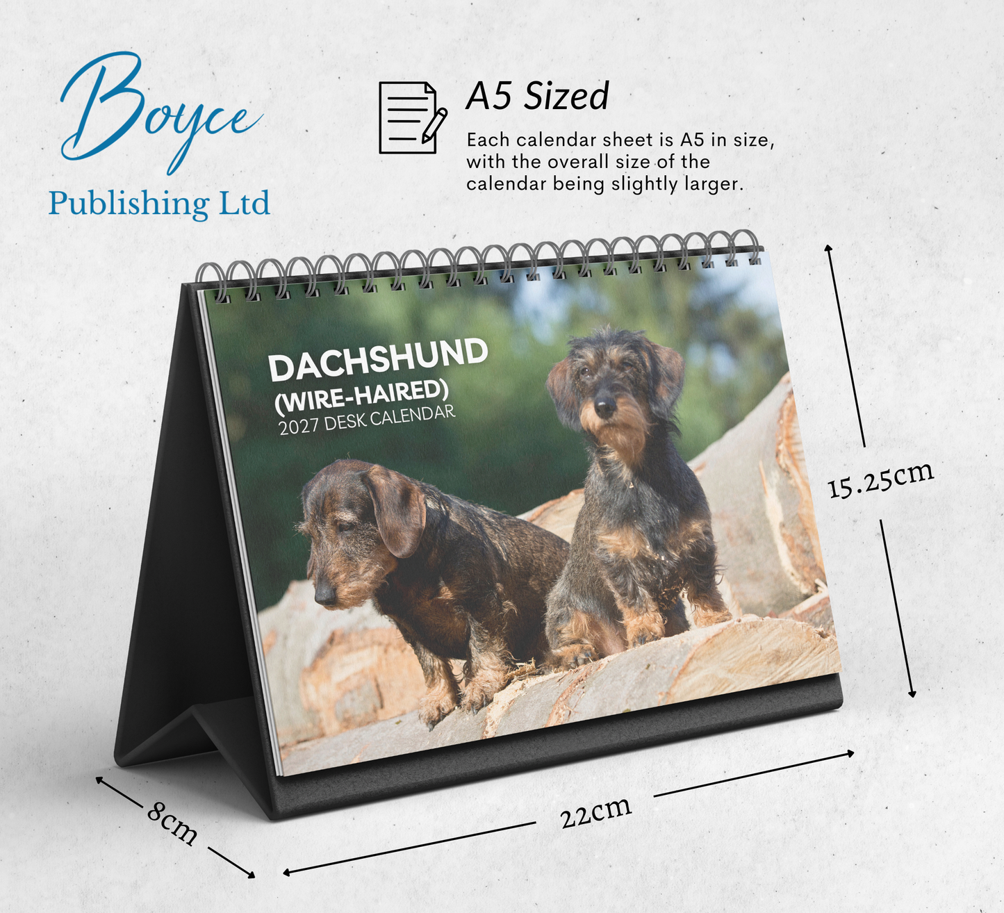 Dachshund (wire-haired) Desk Calendar 2027-2028