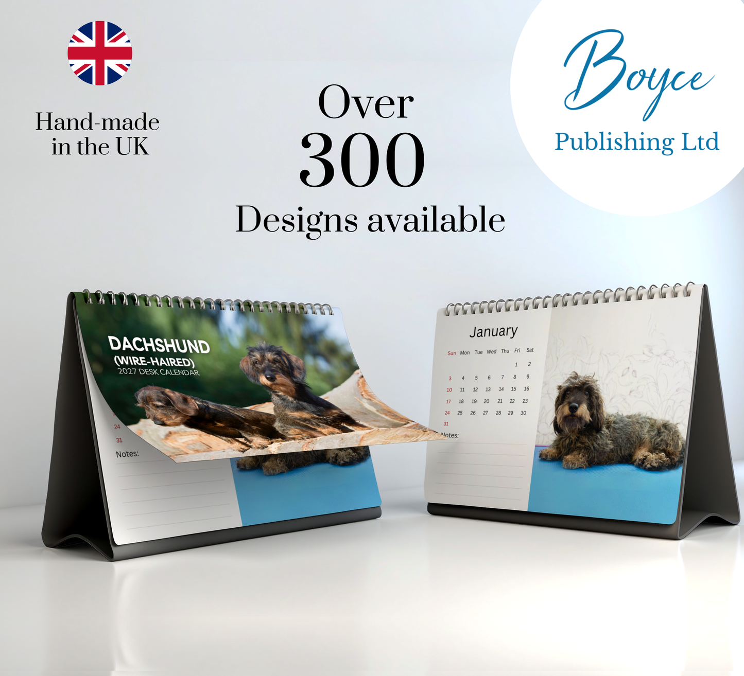 Dachshund (wire-haired) Desk Calendar 2027-2028