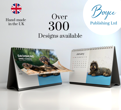 Dachshund (wire-haired) Desk Calendar 2027-2028