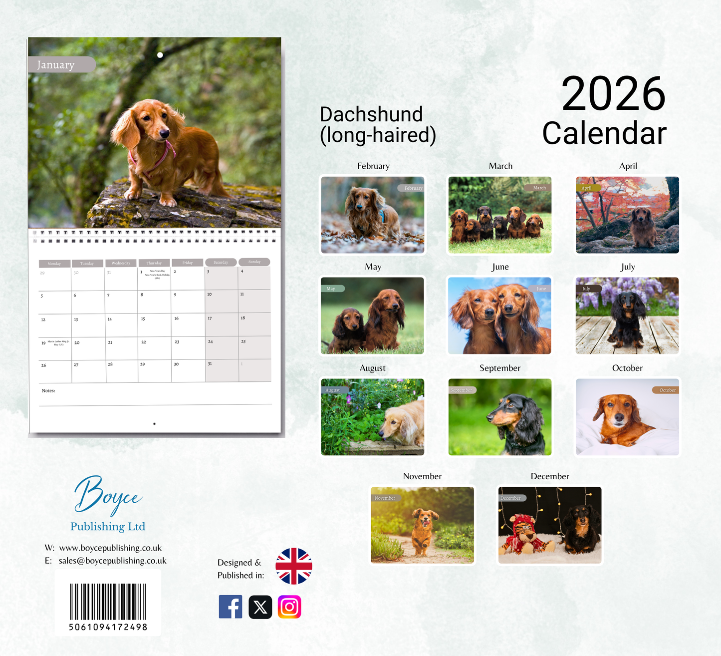Dachshund (wire-haired) Calendar 2026