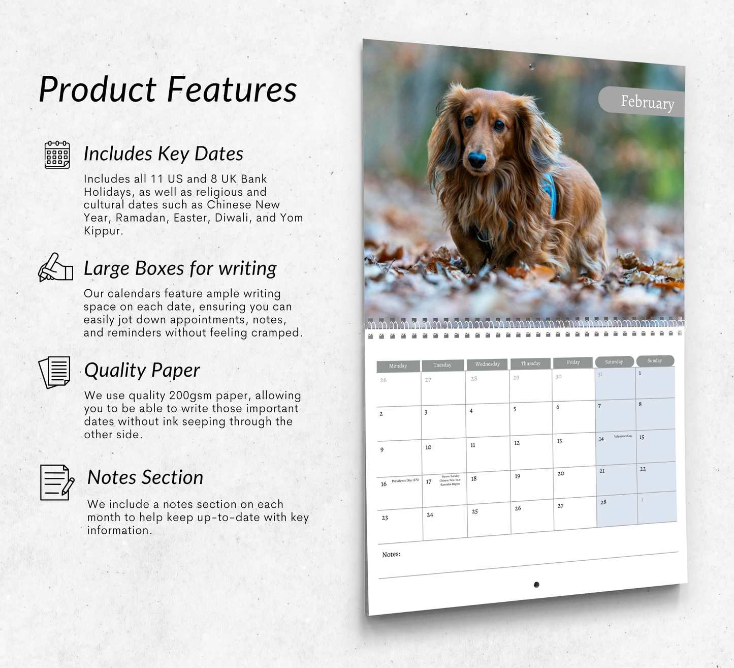 Dachshund (wire-haired) Calendar 2026