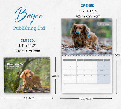 Dachshund (wire-haired) Calendar 2026