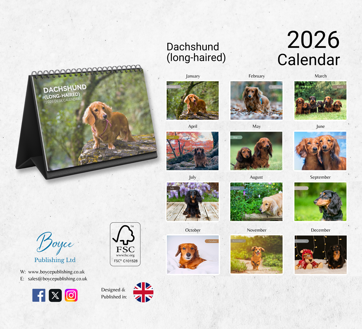 Dachshund (long-haired) Desk Calendar 2026-2027
