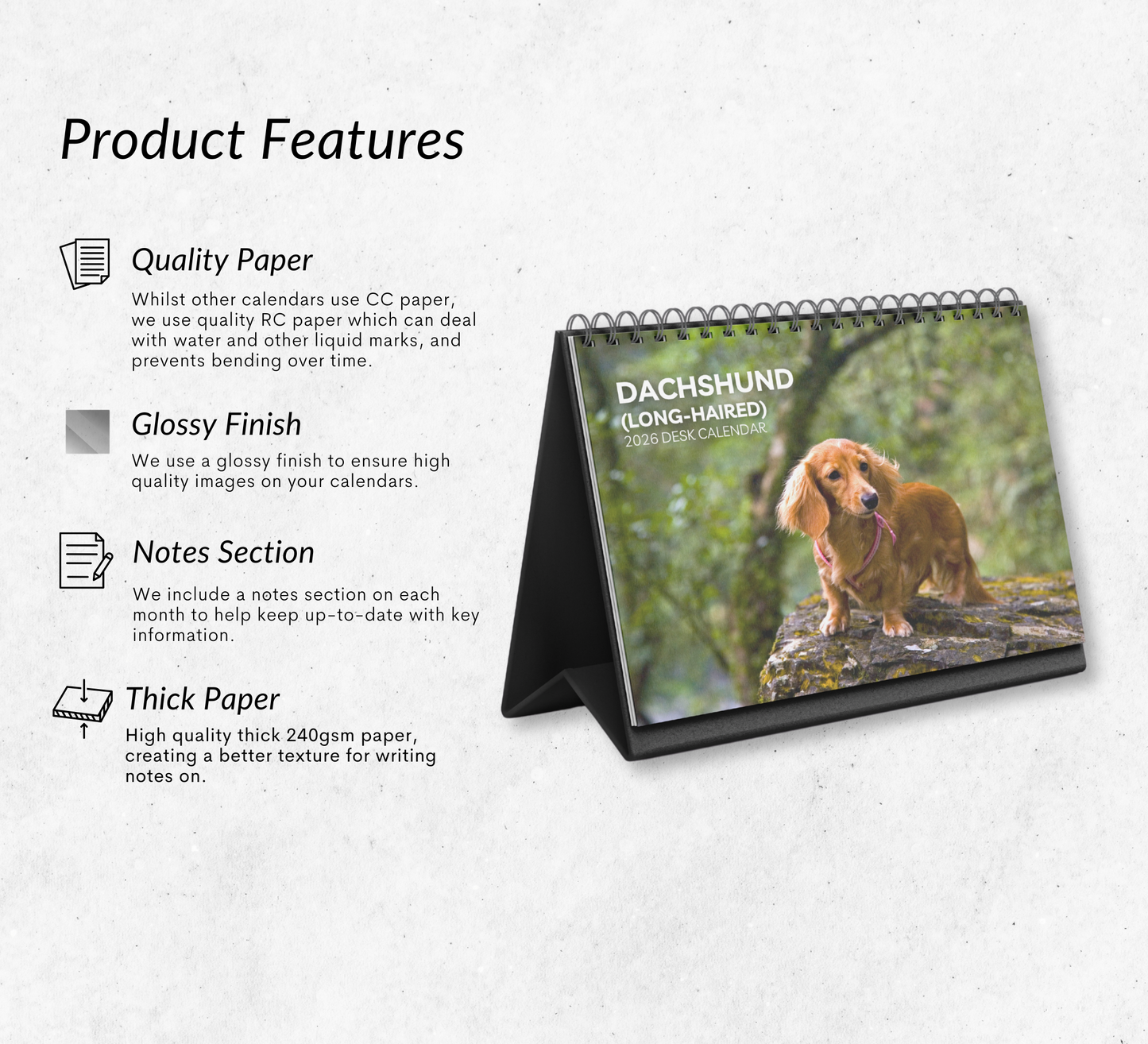 Dachshund (long-haired) Desk Calendar 2026-2027