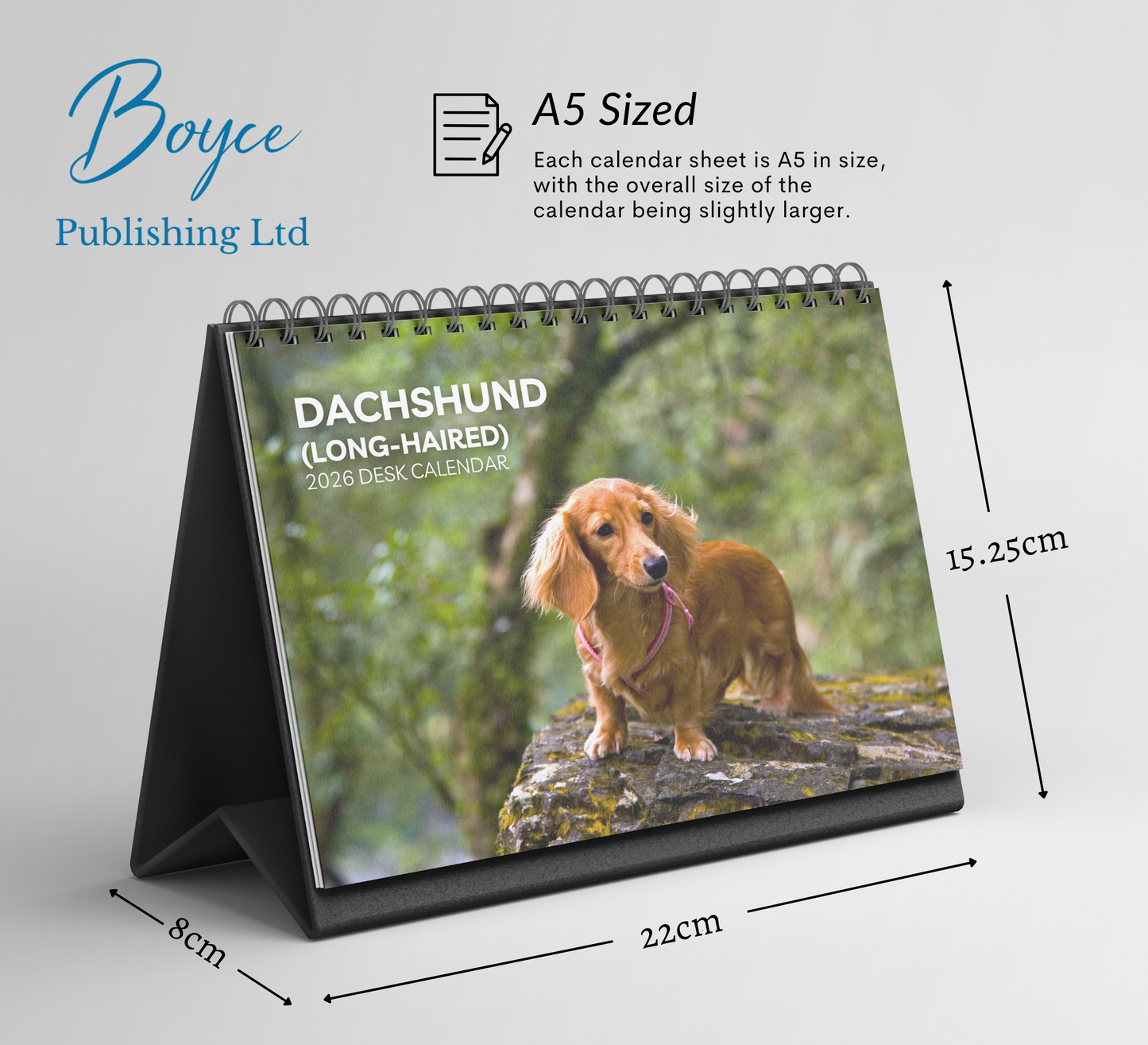 Dachshund (long-haired) Desk Calendar 2026-2027
