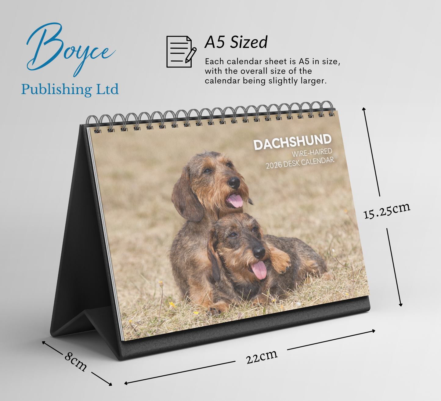 Dachshund (wire-haired) Desk Calendar 2026-2027