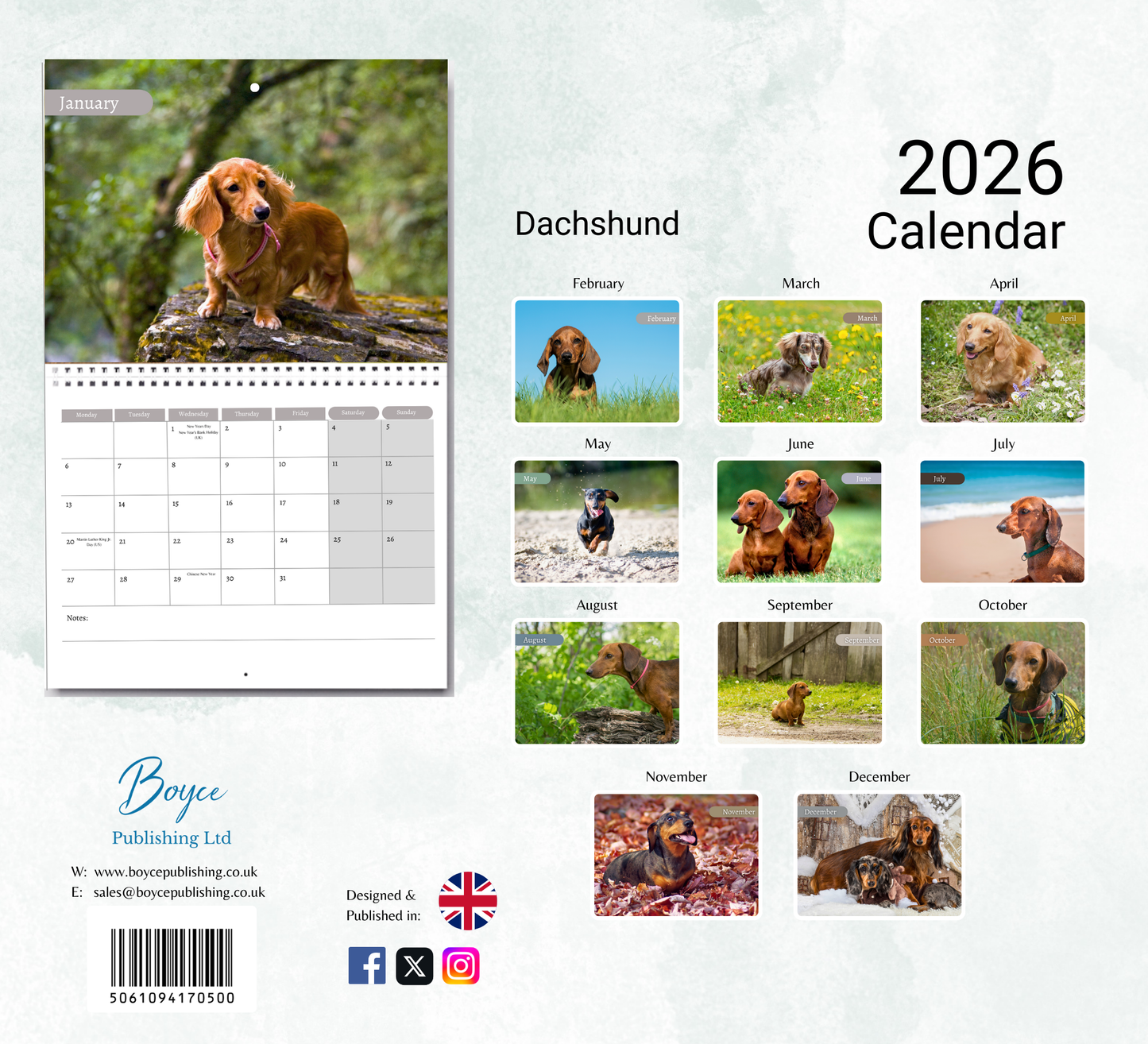 Dachshund Calendar 2026