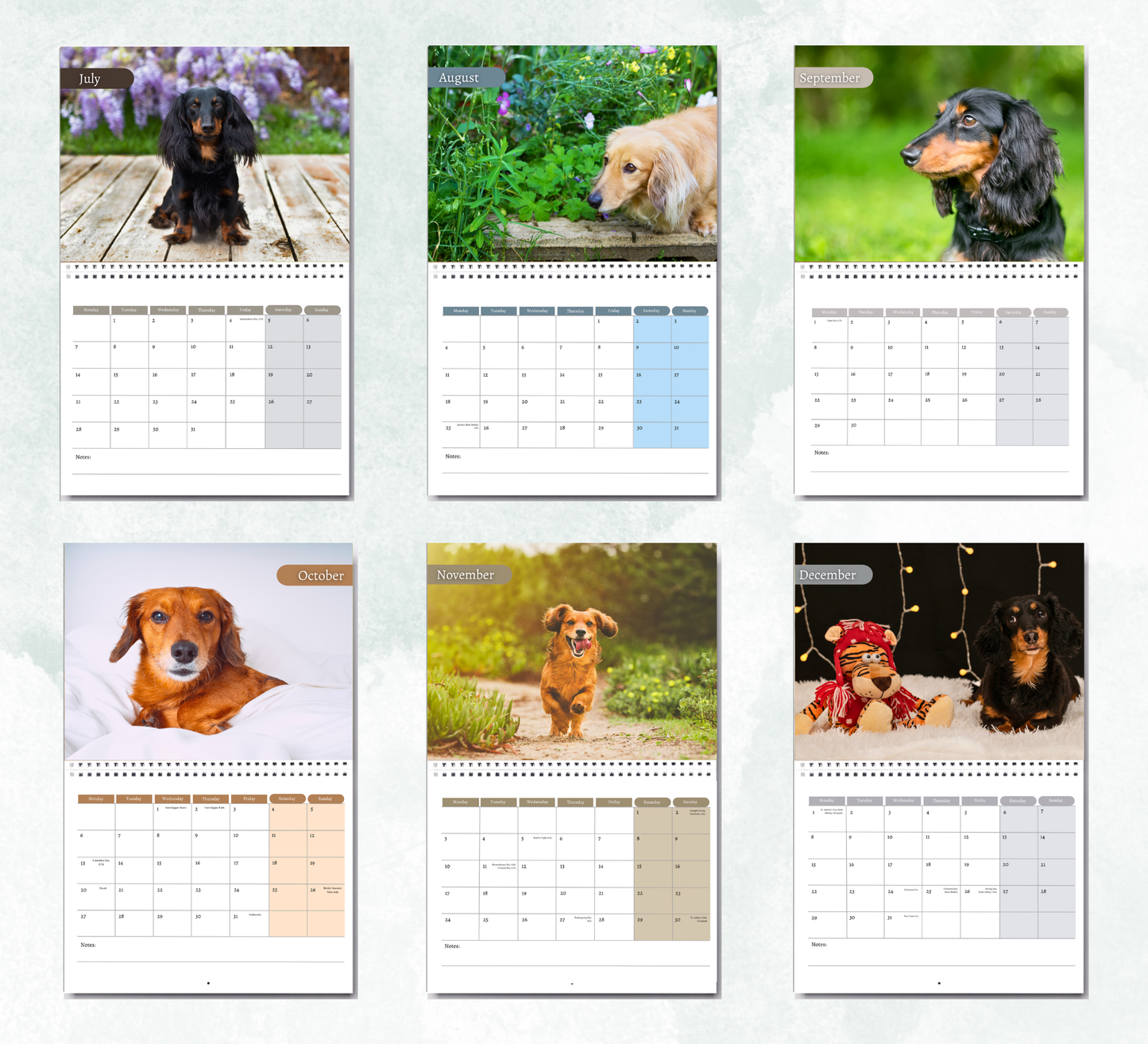 Dachshund Calendar 2026
