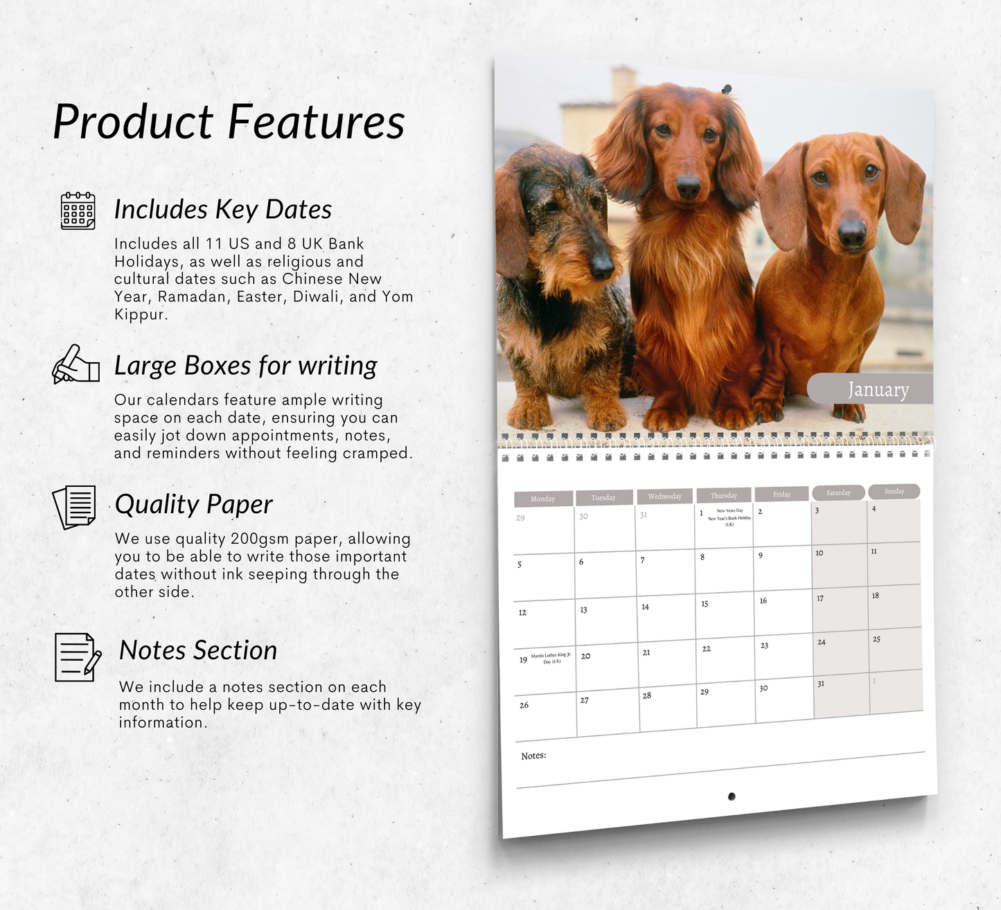 Dachshund Calendar 2026