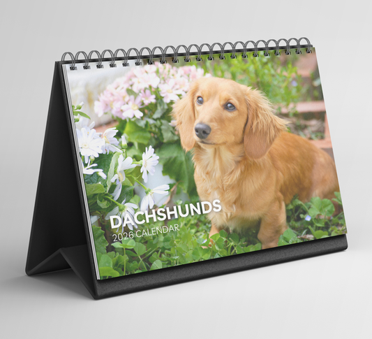 Dachshund Desk Calendar 2026-2027