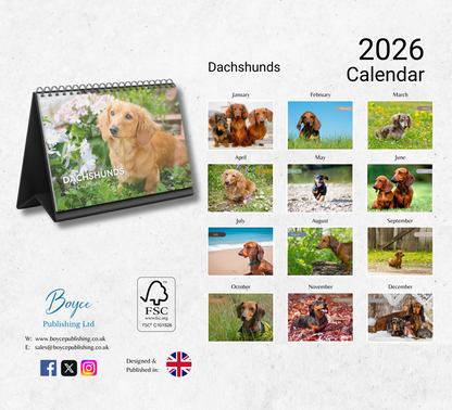 Dachshund Desk Calendar 2026-2027