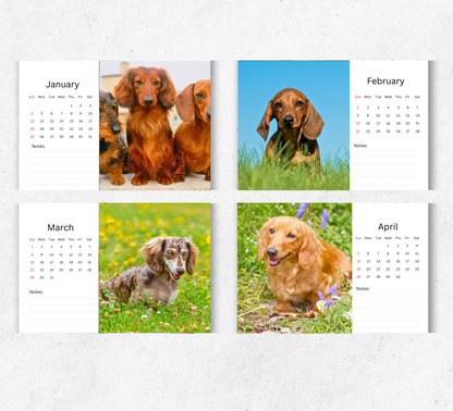 Dachshund Desk Calendar 2026-2027