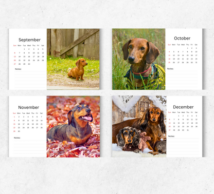 Dachshund Desk Calendar 2026-2027