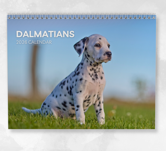 Dalmatian Calendar 2026