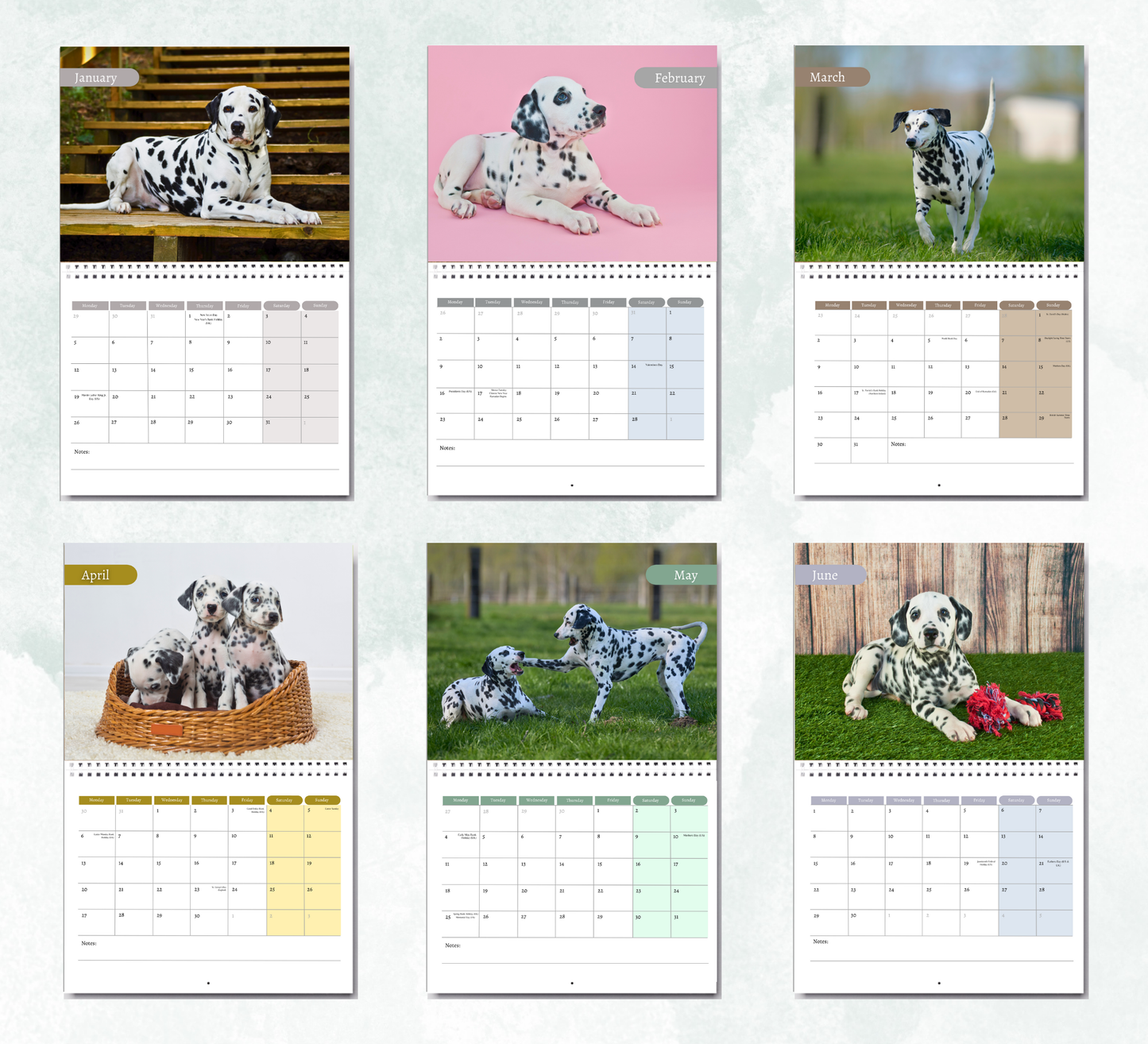 Dalmatian Calendar 2026