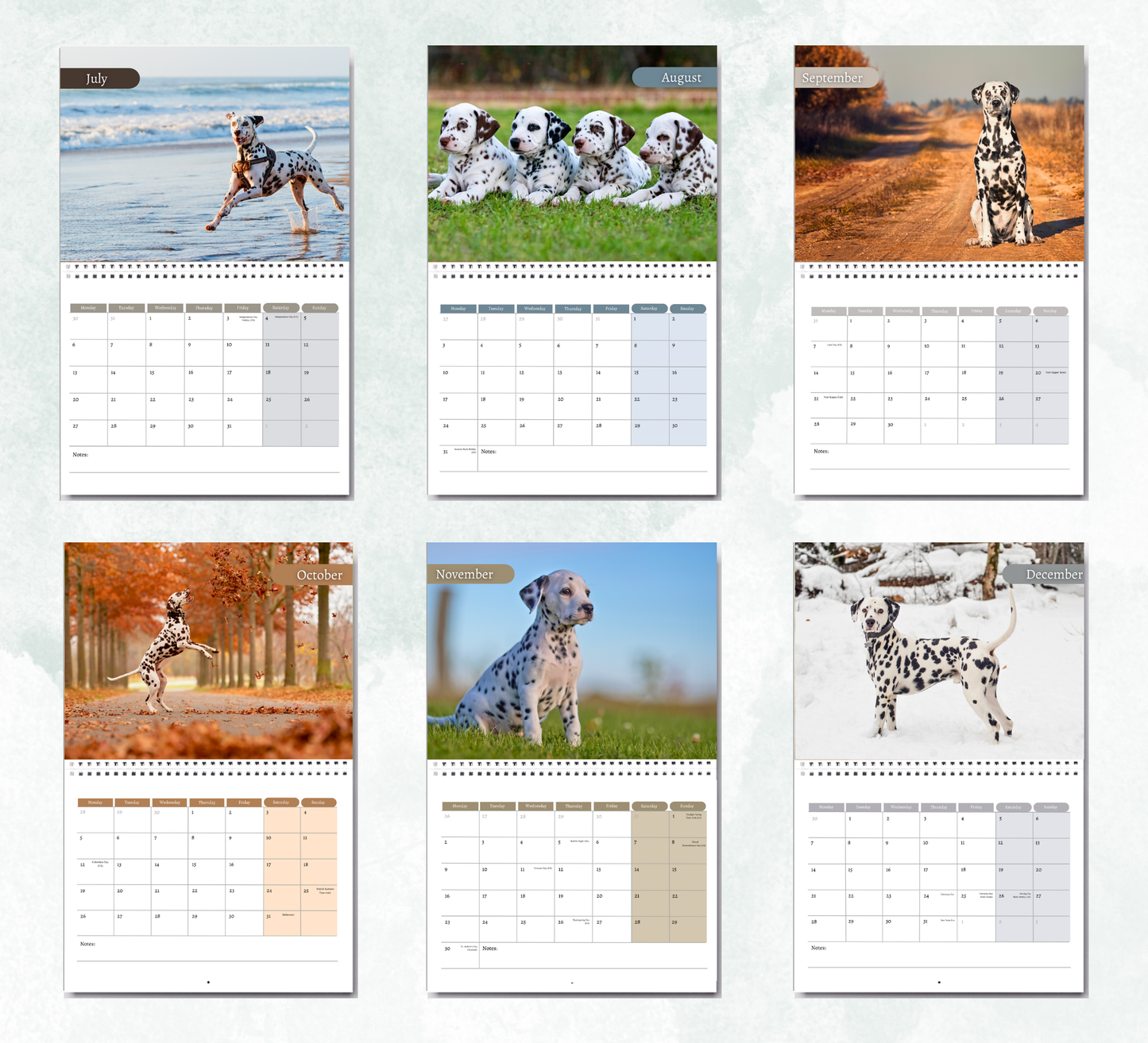 Dalmatian Calendar 2026