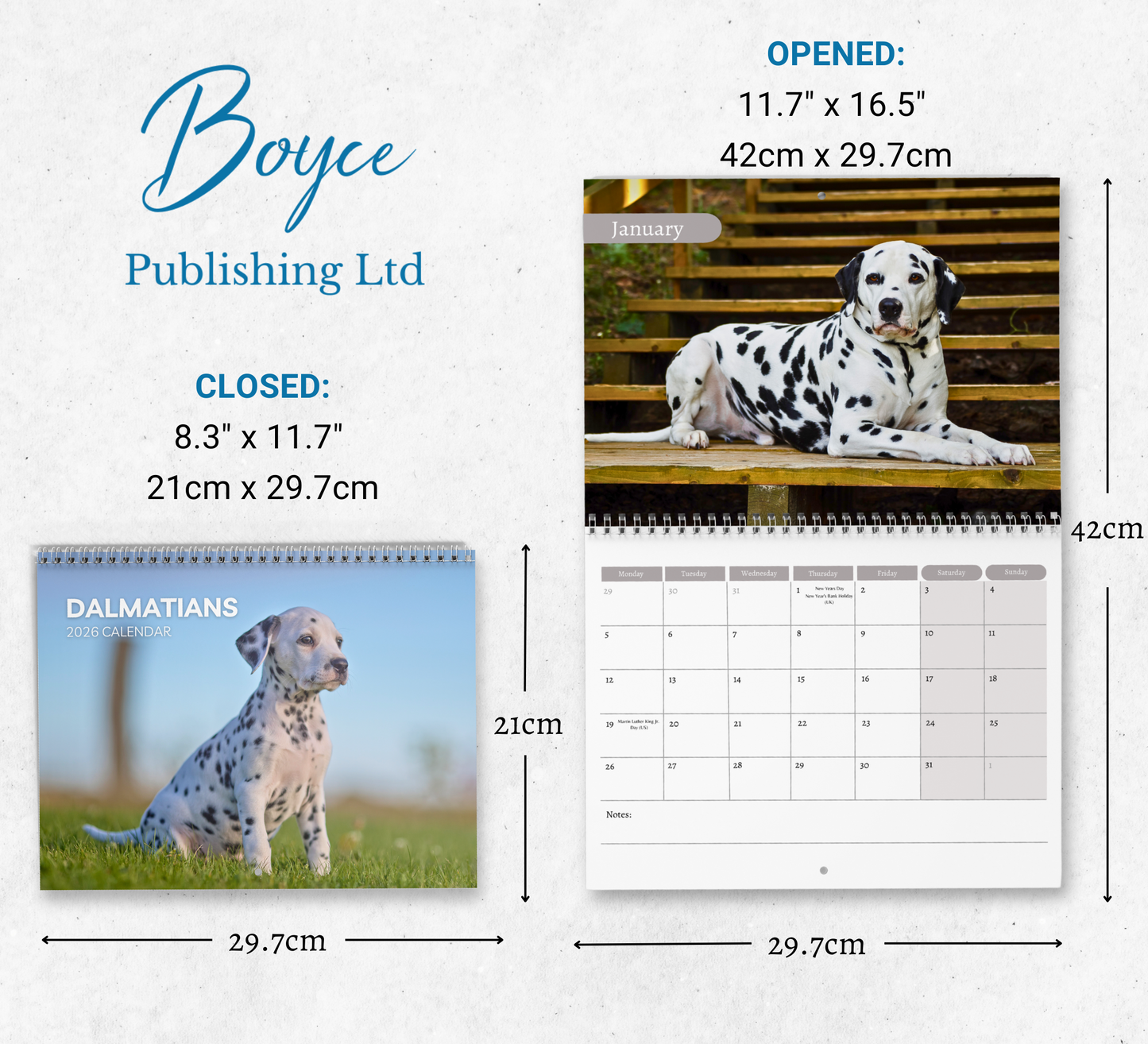 Dalmatian Calendar 2026