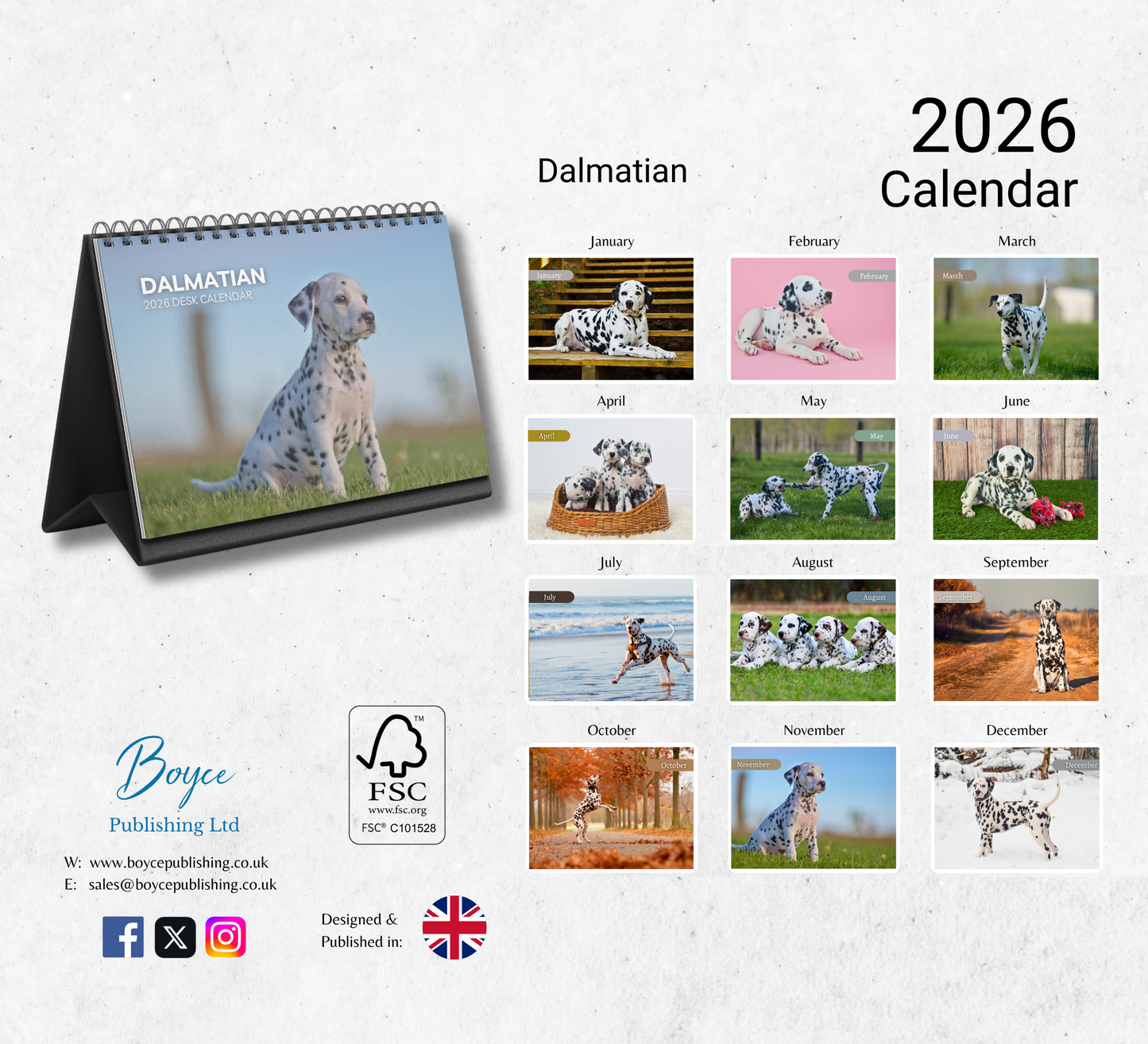 Dalmatian Desk Calendar 2026-2027