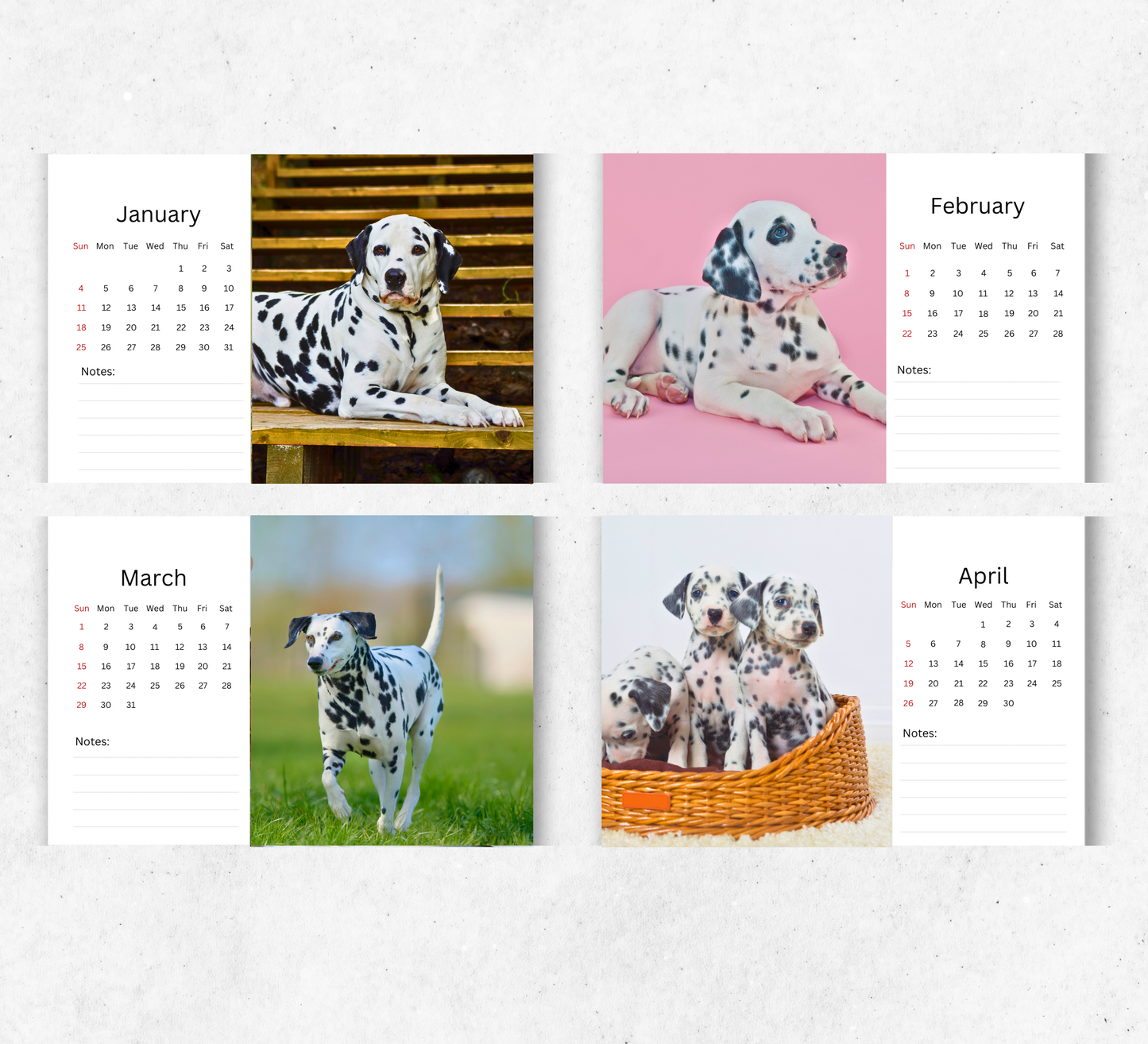Dalmatian Desk Calendar 2026-2027