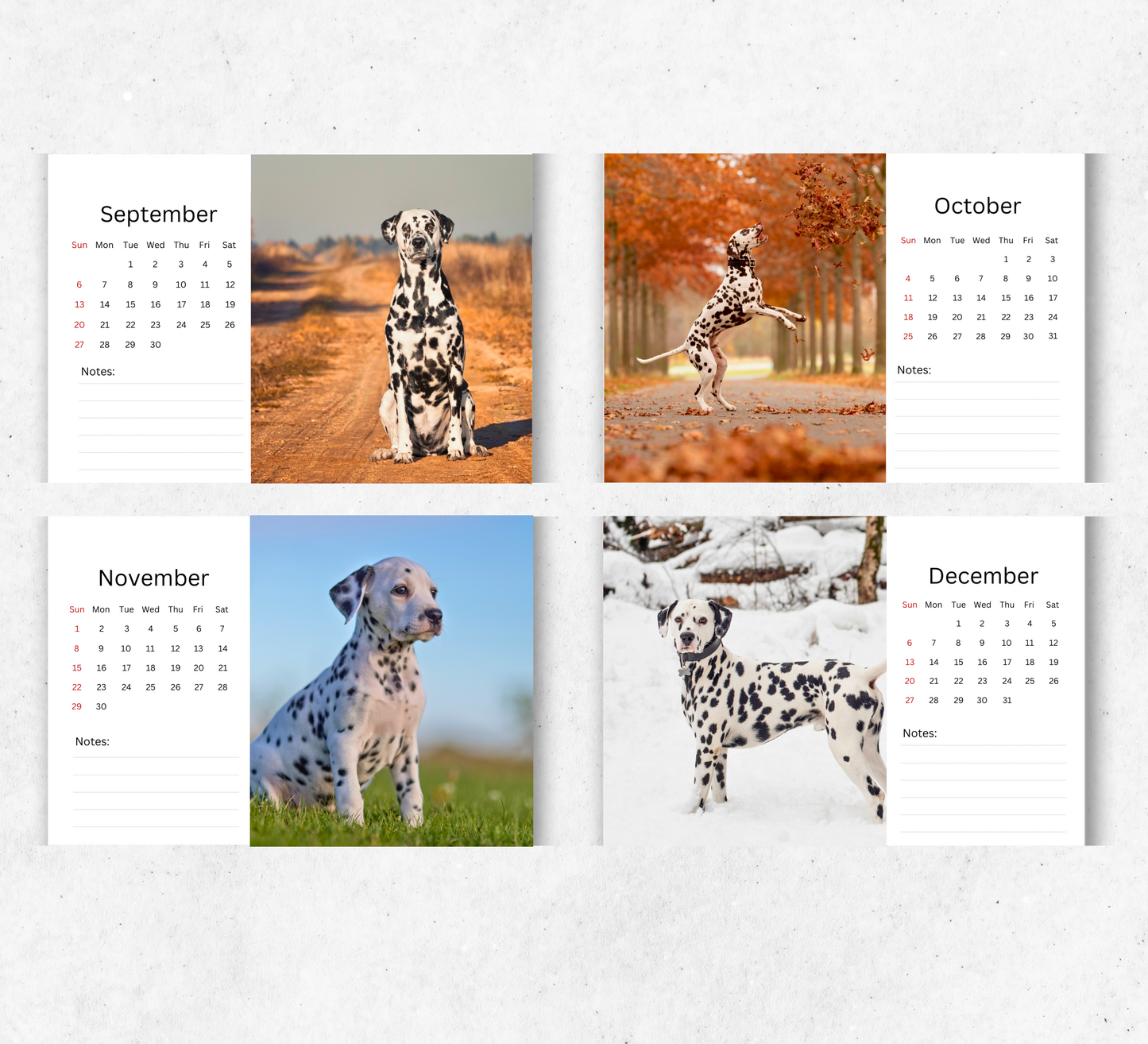 Dalmatian Desk Calendar 2026-2027