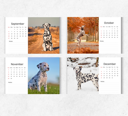 Dalmatian Desk Calendar 2026-2027