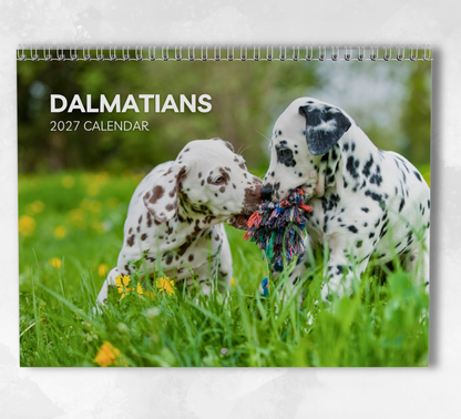 Dalmatian Calendar 2027