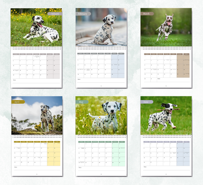 Dalmatian Calendar 2027