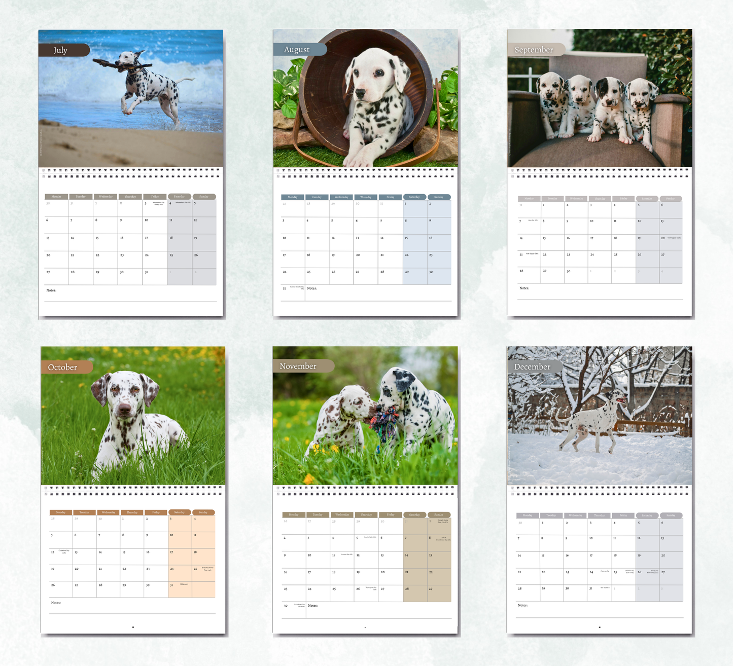 Dalmatian Calendar 2027