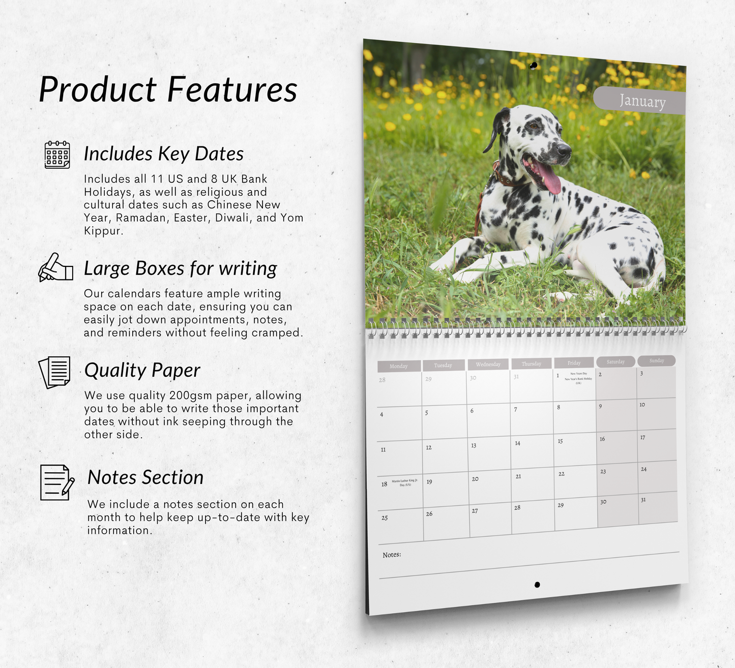 Dalmatian Calendar 2027