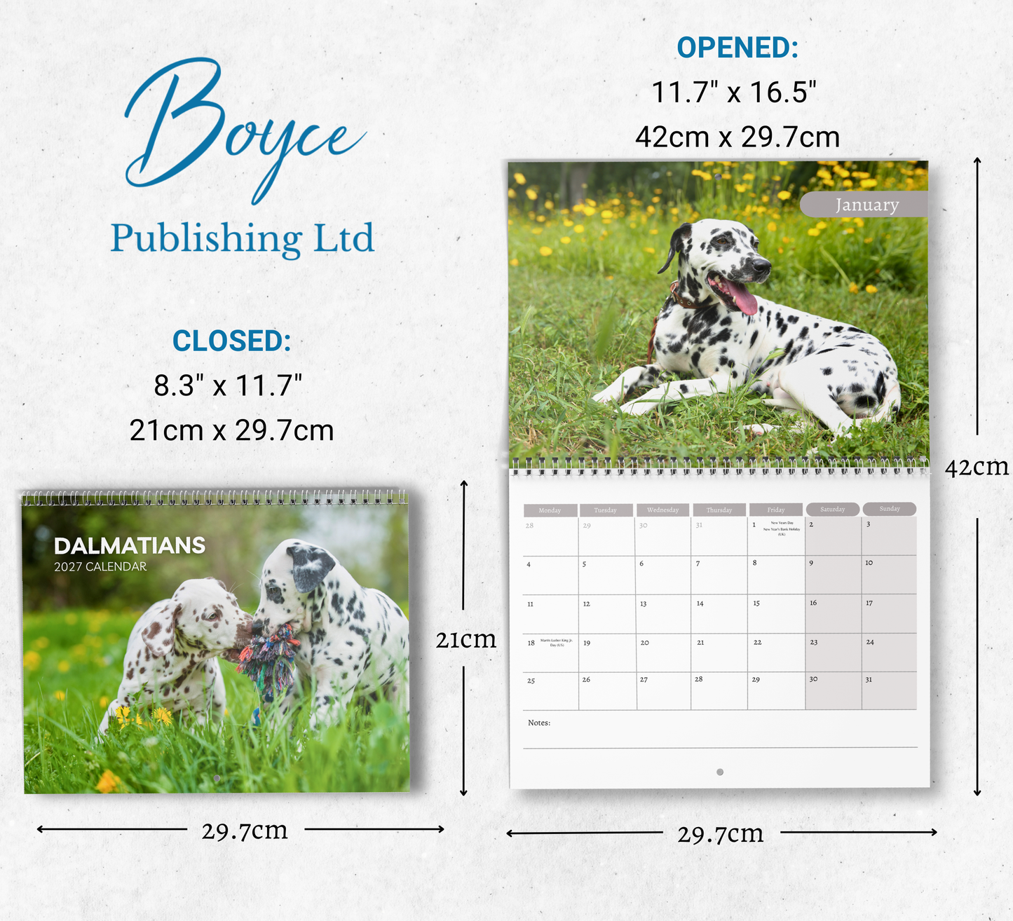 Dalmatian Calendar 2027