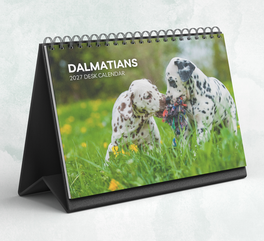 Dalmatian Desk Calendar 2027-2028