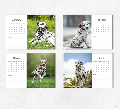 Dalmatian Desk Calendar 2027-2028
