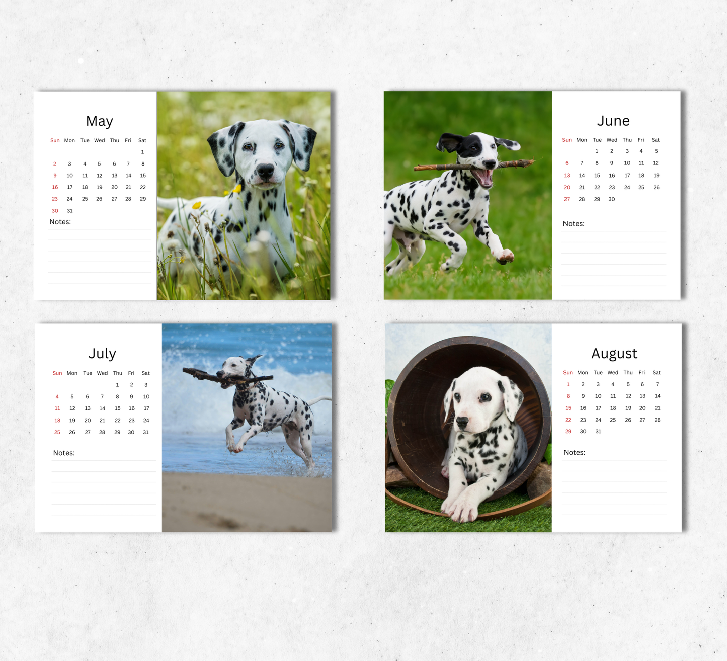 Dalmatian Desk Calendar 2027-2028