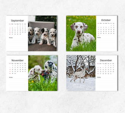 Dalmatian Desk Calendar 2027-2028