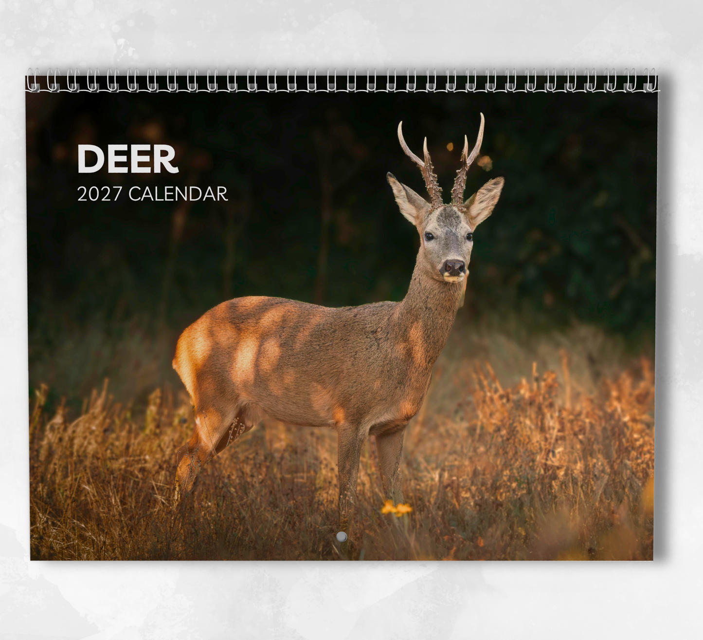 Deer Calendar 2027