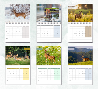 Deer Calendar 2027