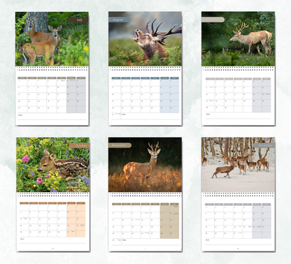 Deer Calendar 2027