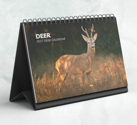 Deer Desk Calendar 2027-2028