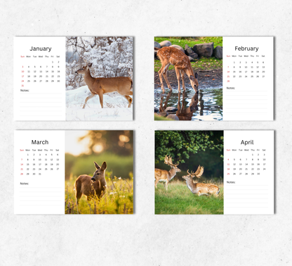 Deer Desk Calendar 2027-2028