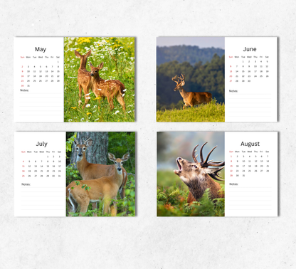 Deer Desk Calendar 2027-2028