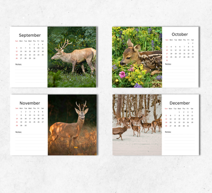 Deer Desk Calendar 2027-2028