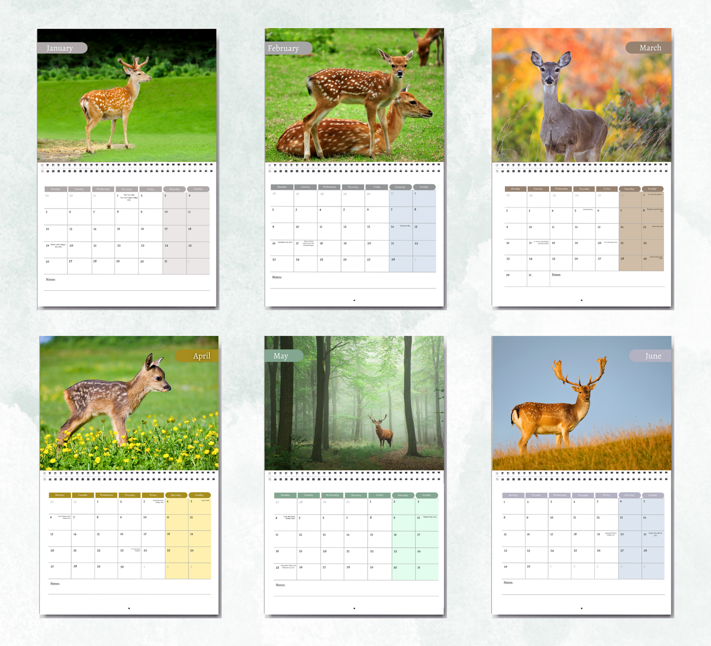 Deer Calendar 2026