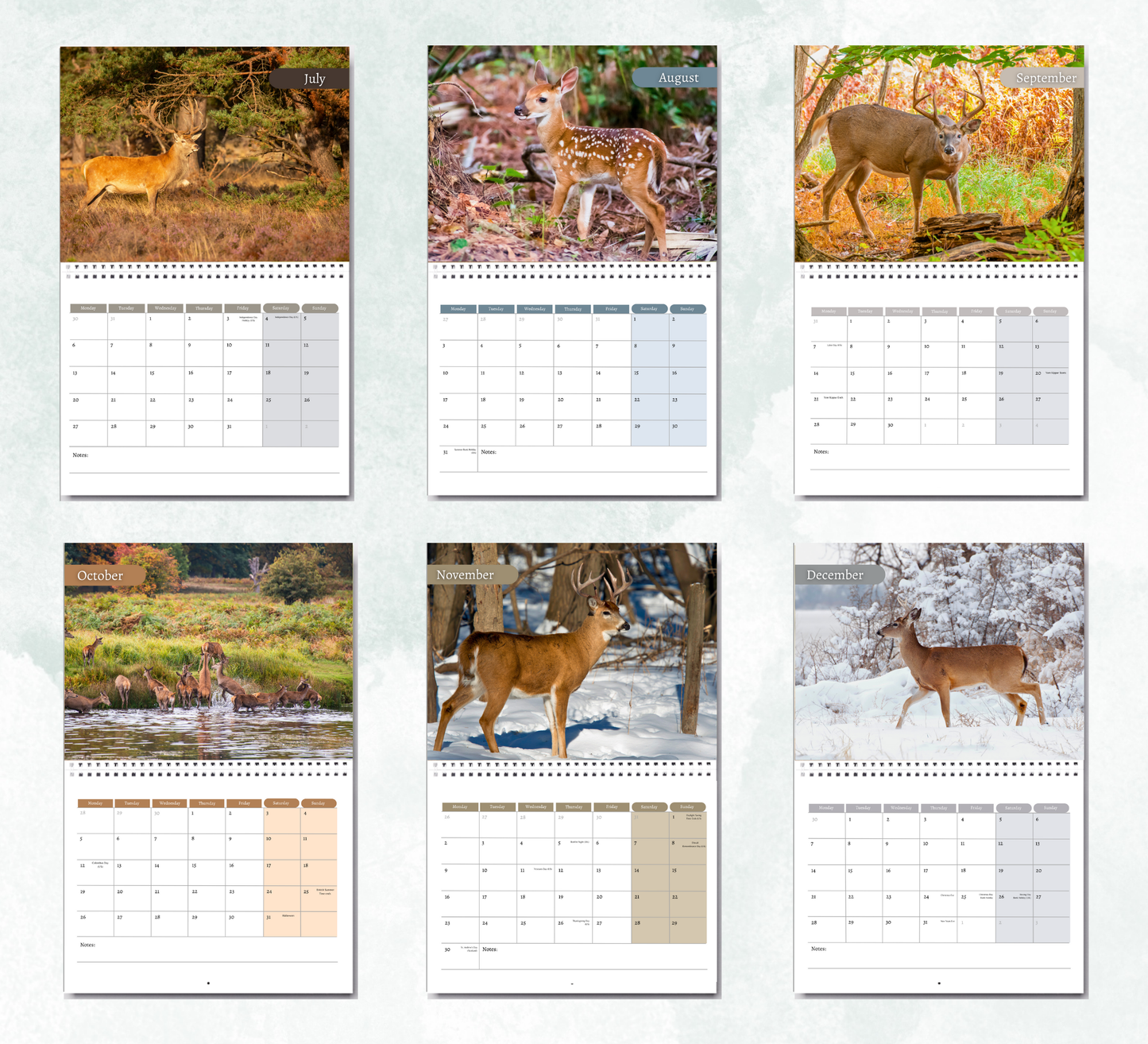 Deer Calendar 2026
